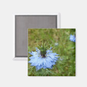 Cornflower Magnet (Voorkant / Achterkant)