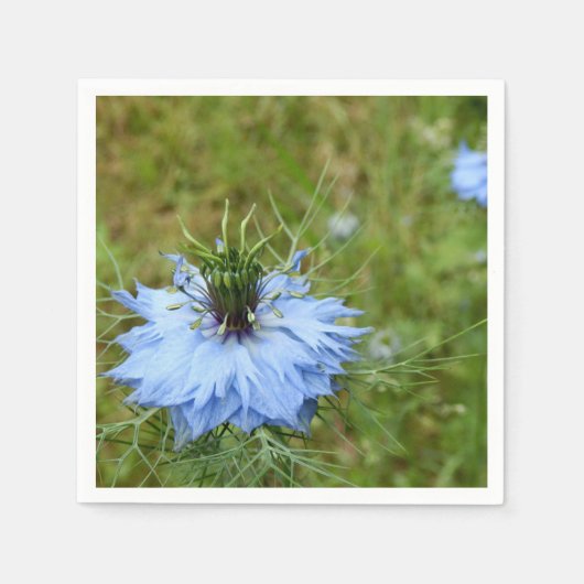 Cornflower Paper Napkins Servetten (Voorkant)