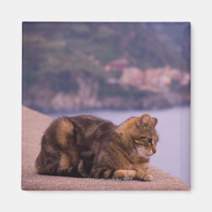 Corniglia, Cinque Terre, Italië Magneet