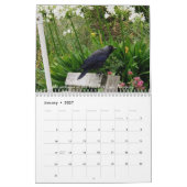 Cornish Adventures is een prachtig onderdeel van C Kalender (Jan 2027)