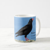 Cornish Choughs (Palores) Pyrhocorax pyrhocorax Koffiemok (Voorkant rechts)