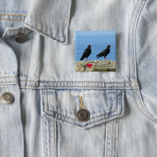 Cornish Choughs (Palores) Pyrhocorax pyrhocorax Vierkante Button 5,1 Cm