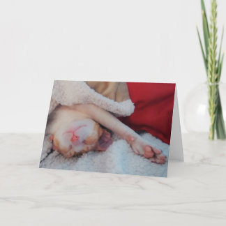 cornish rex cat feestdagen kaart