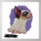 Cornish Rex Cat Print | Kat-wanddruk (Voorkant)