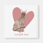 Cornish Rex Cat Waterverf Kat Roze hart Magneet (Voorkant)