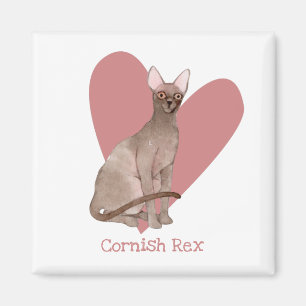 Cornish Rex Cat Waterverf Kat Roze hart Magneet