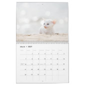 Cornish Rex Kittens kalender (Mar 2027)
