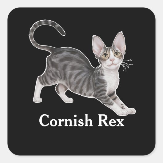 Cornish Rex Vierkante Sticker (Voorkant)