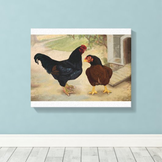 Cornish Rooster en Hen Canvas Afdruk (Insitu (Houten vloer))