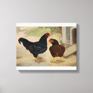 Cornish Rooster en Hen Canvas Afdruk
