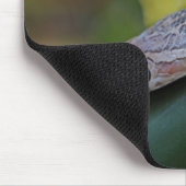 CornSnakeCorner Mousepad Muismat (Hoek)
