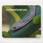 CornSnakeCorner Mousepad Muismat (Voorkant)