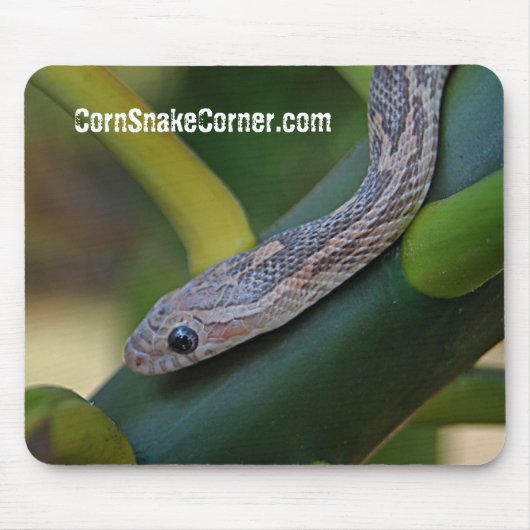 CornSnakeCorner Mousepad Muismat (Voorkant)