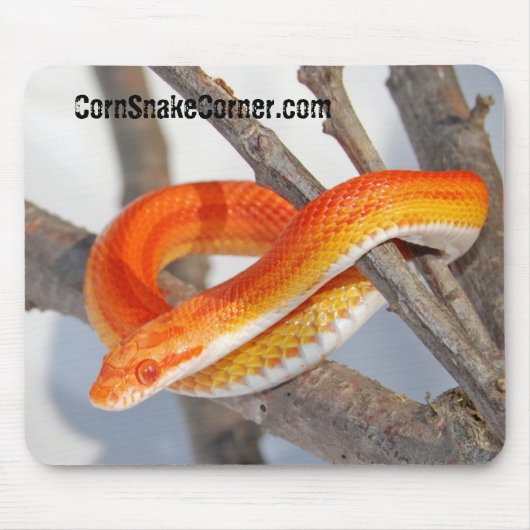 CornSnakeCorner Mousepad Muismat (Voorkant)
