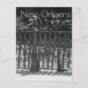 Cornstalk Wete Iron Fence Briefkaart