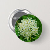 Cornus sanguinea Badge Ronde Button 5,7 Cm (Voorkant /achterkant)