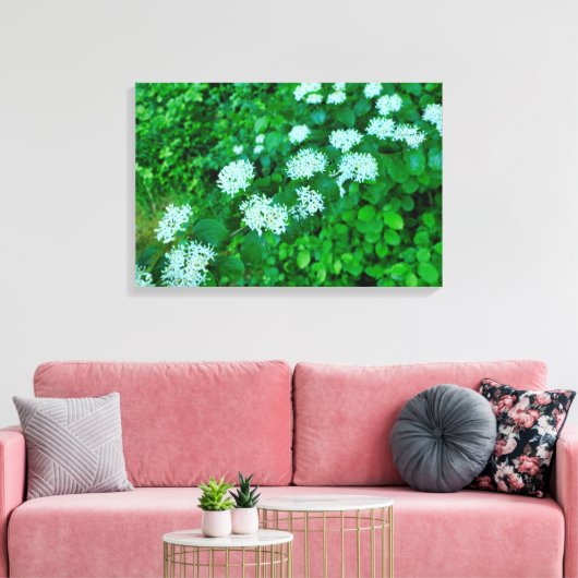 Cornus sanguinea canvas afdruk (Insitu (Woonkamer))