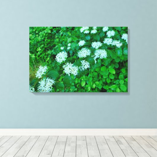 Cornus sanguinea canvas afdruk (Insitu (Houten vloer))