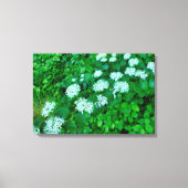 Cornus sanguinea canvas afdruk (Voorkant)