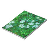 Cornus sanguinea notitieblok (Linkerzijde)