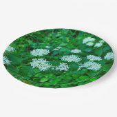 Cornus sanguinea Paper Bord (Gekanteld)