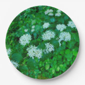 Cornus sanguinea Paper Bord (Voorkant)