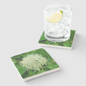 Cornus sanguinea stenen onderzetter (Zijkant)