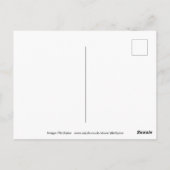 Cornwall Briefkaart (Achterkant)