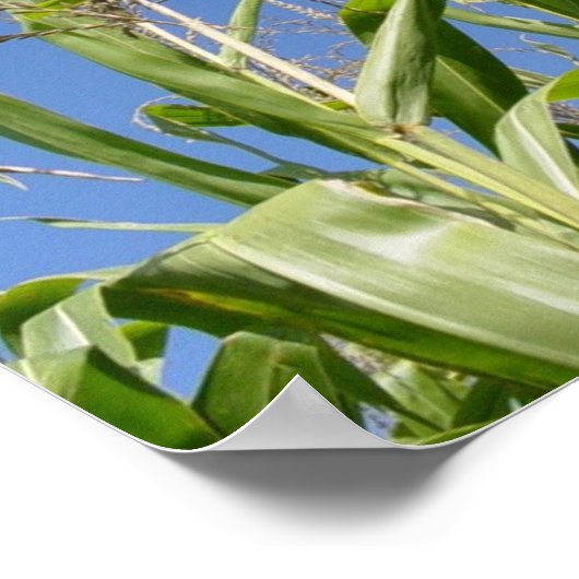 Corny sky poster (Hoek)