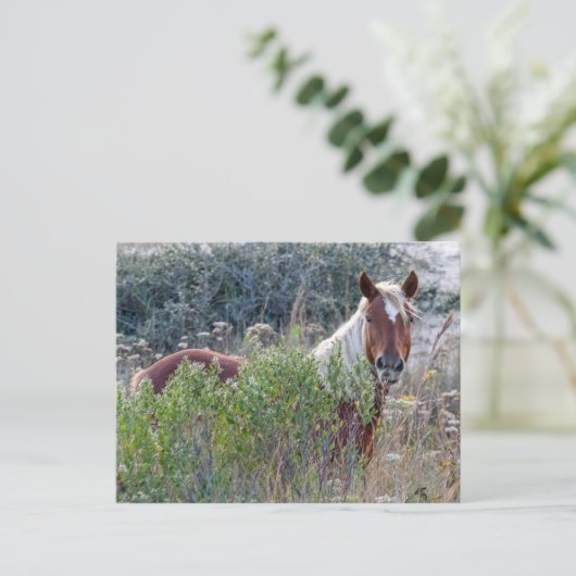 Corolla Wild Horse Briefkaart (Staand voorkant)