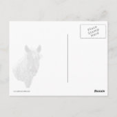 Corolla Wild Horse Briefkaart (Achterkant)