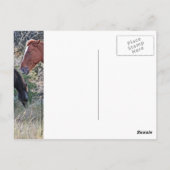Corolla wilde paarden briefkaart (Achterkant)