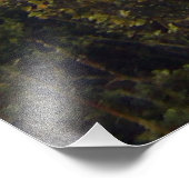 Coromandel New Zealand Pinnacles GoPro wide Foto Afdruk (Hoek)