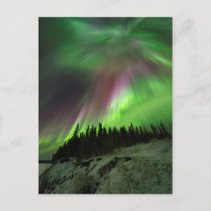 Corona Aurora Briefkaart