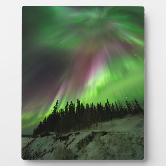 Corona Aurora Fotoplaat (Voorkant)