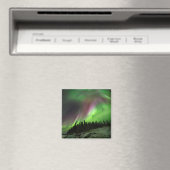 Corona Aurora Magneet (Insitu (Vaatwasser))