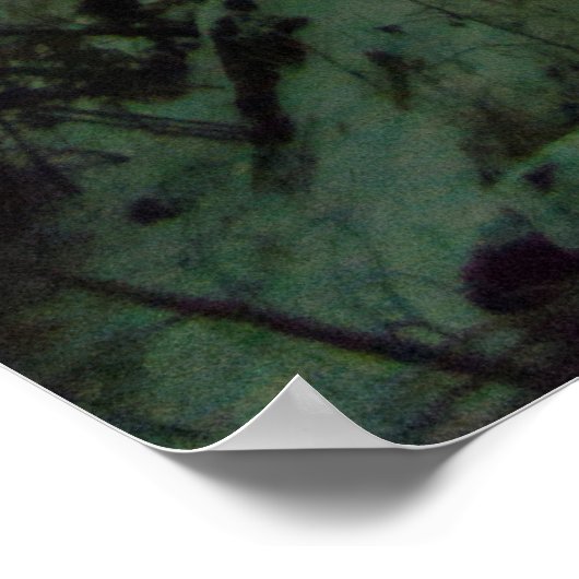 Corona Aurora Poster (Hoek)