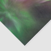 Corona Aurora Tissuepapier (Detail)