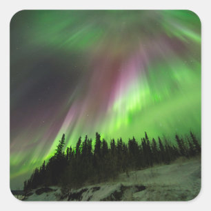 Corona Aurora Vierkante Sticker