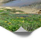 Corona Del Mar California CA Poster (Hoek)