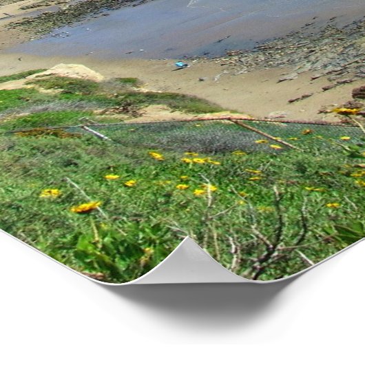 Corona Del Mar California CA Poster (Hoek)