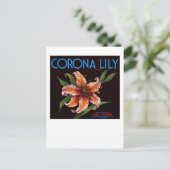 Corona Lily Briefkaart (Staand voorkant)