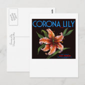 Corona Lily Briefkaart (Voorkant / Achterkant)