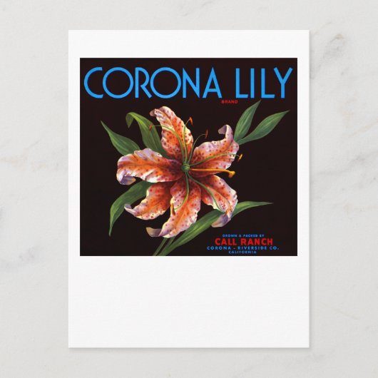 Corona Lily Briefkaart (Voorkant)