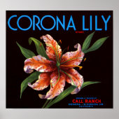 Corona Lily Poster (Voorkant)