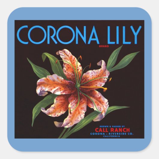 Corona Lily Vierkante Sticker (Voorkant)