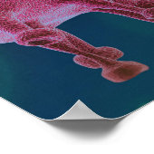 Corona Virus Microbiology Poster (Hoek)