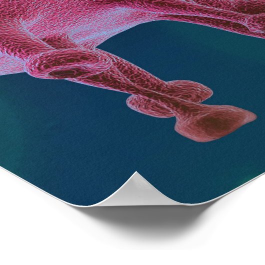 Corona Virus Microbiology Poster (Hoek)