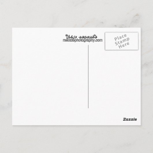 Coronado Bridge Sunrise Briefkaart (Achterkant)