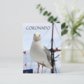 Coronado, Seagull en Boat Briefkaart (Staand voorkant)
